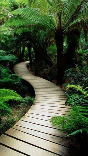 Desktop Wallpaper And Incredible Image Beautiful HD
