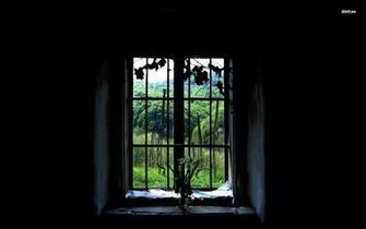 In Old Window Wallpaper Daffodils