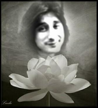 Steve Perry Image Wallpaper And Background