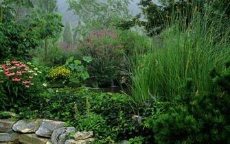 Beautiful Nature Landscape Wallpaper X