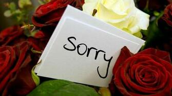 Am Sorry Wallpaper With Message Quotes