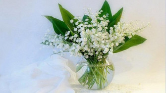 Lily Of The Valley Desktop Wallpaper On