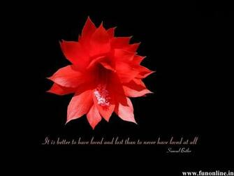 Love Quotes Wallpaper Inspirational HD