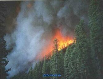 Image About Natural Disasters
