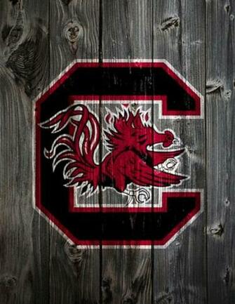 South Carolina Gamecocks Wood iPhone Background