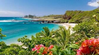 Hawaii Wallpaper Top Background