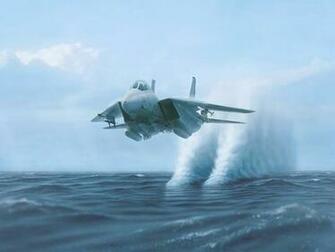 Tomcat HD Wallpaper Pictures