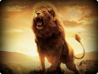 Lion Of Judah Wallpaper