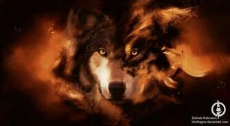 Wolf Wallpaper By Wolfragna