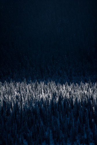 Dark Winter Pictures Image