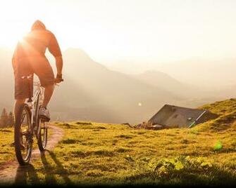 Mountain Bike Action Wallpaper Mountainbike Salzburgerland