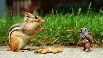 Best Funny Cover Photos
