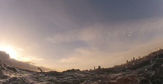 The Alcatraz Swimming Society Farther Colder Rougher