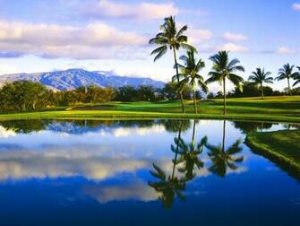 Palm3ltd Specializing In Hawaiian Island Wordpress Site Management