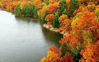Autumn In New York My Home State Nature HD Wallpaper