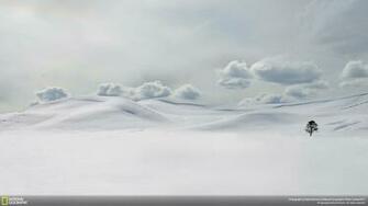 Yellowstone National Park Wallpaper High Quality