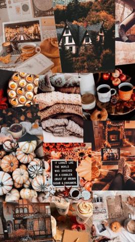 Cute Brown Aesthetic Wallpaper For Phone Pretty Autumn