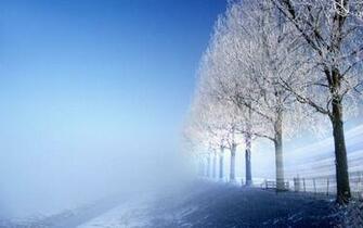 Chiung Chih The Aesthetic Snow HD Photography Wallpaper