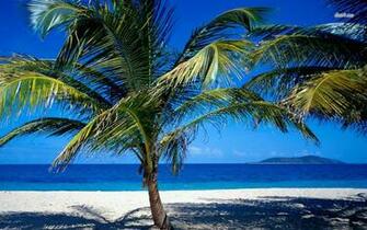 St Croix Virgin Islands Wallpaper Beach