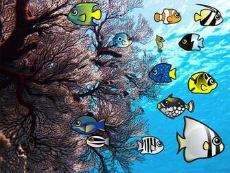 Coral Reef