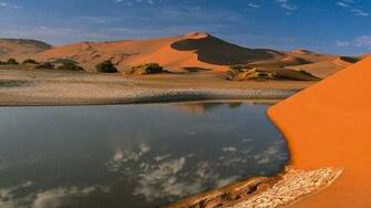 Desert Oasis Wallpaper
