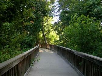 Bird Lovers Florida Scenery Pictures