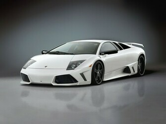 White Lamborghini Murcielago Wallpaper HD