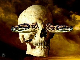 Best Wallpaper Snakes