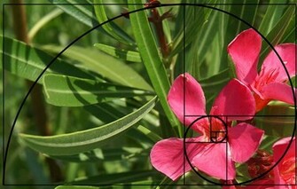 Golden Ratio Applied To Photography With Spiral Similar