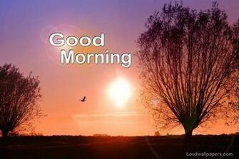 Good Morning Birds Wishes Wallpaper And Quotes