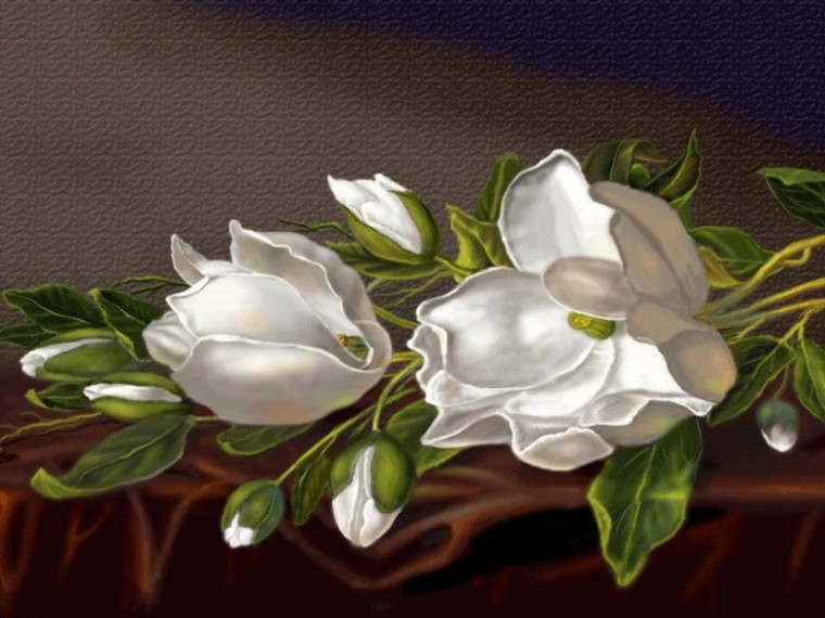 Wallpaper Magnolia