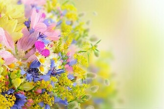 Pretty Flowers Wallpaper
