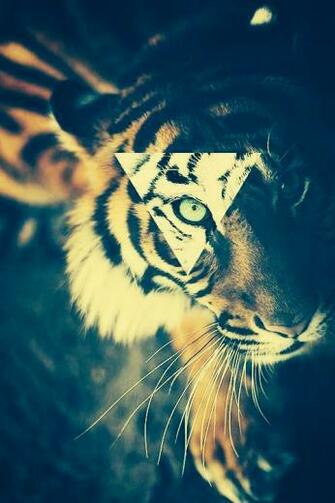 Hipster Lock Screen We Heart It
