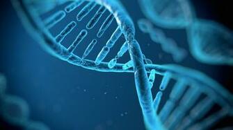 Dna Structure HD Wallpaper For 4k X HDwallpaper Net