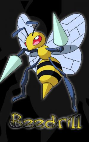 Pokemon Beedrill Black Background 9ssc