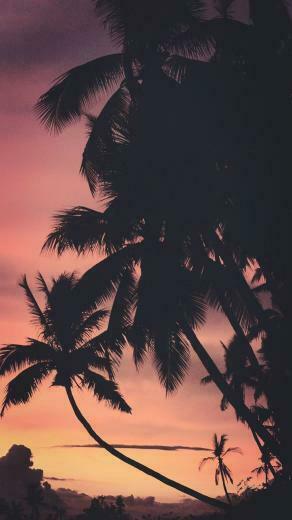 iPhone Wallpaper Summer Sunset To Kill That