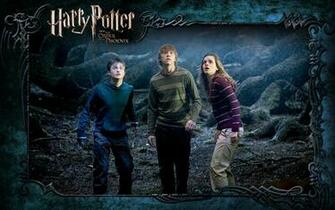 Harry Ron And Hermione Wallpaper