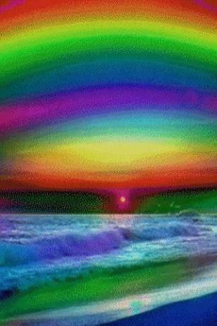 Rainbow Beach Live Wallpaper App For Android