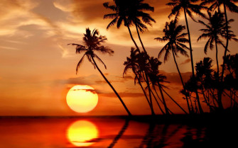 Sunset In Tropical Paradise Macbook Air Wallpaper
