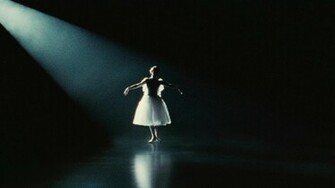 Black Swan Desktop Wallpaper For HD Widescreen And Mobile
