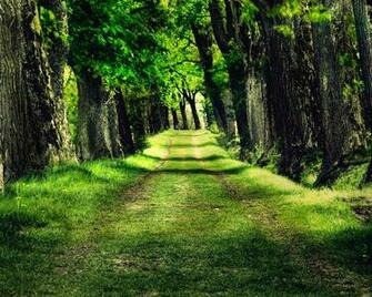 Nature Wallpaper High Definition