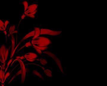 Bloody Flower Wallpaper By Jeshans For