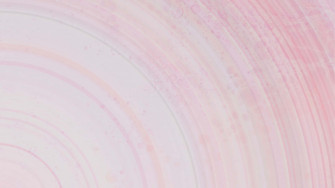 Aesthetic Computer Light Pink Wallpaper