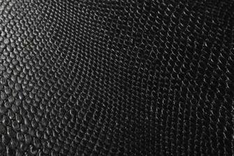 Black Snake Skin Wallpaper Website