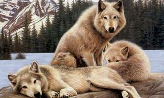 Animal HD Wallpaper Screenshot