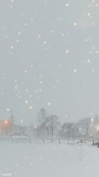 Snowy Park In The Evening Mobile Phone Wallpaper Premium Image