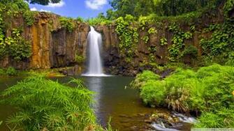 Hidden Falls Wallpaper