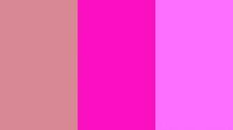 Blush Shocking Pink And Crayola Three Color Background