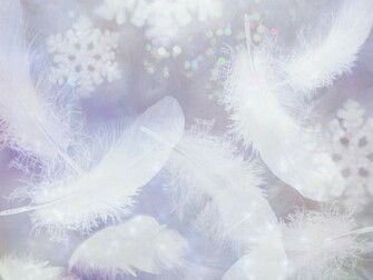 Seasons Romatic Feather Wallpaper Photo Composite