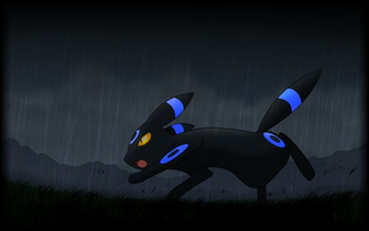 Pokemon Umbreon Wallpaper Image